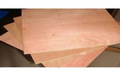 Brown 12 MM Ply Board, Size: 8' x 4', Matte