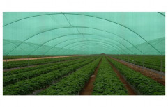 Insect Agro Shade Net