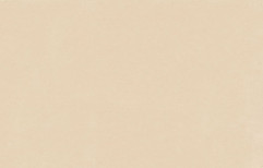 Nitco Vega Champagne Floor Tile