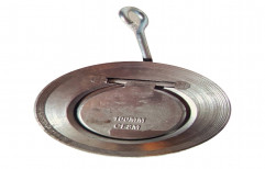 PN16 Stainless Steel 100mm Wafer Type Swing Check Valve, Flanged, Material Grade: CF8M