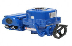 Electric Valve Actuator, 4", 230 V AC