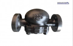 Forbes Marshall Cast Iron Ball Float Steam Trap Valve, Model Name/Number: FT14, Size: 15nb And 50mm