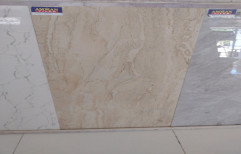 Glazed Vitrified Kajaria Royal Dyna, 2x4 Feet(60x120 cm), Glossy