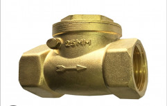 1 1/2 inch Brass Non Return Check Valve