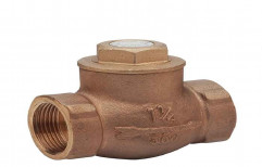 10 Bar Brass Non Return Valves