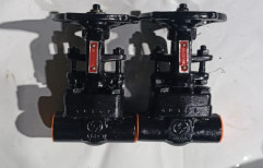 A105 Forged Steel Globe Valve, For Steam, Size: 1 Inch
