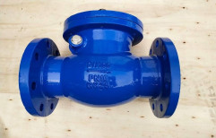 Cast Iron Non Return Valves