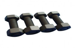 Stainless Steel Hex Nut And Bolts