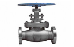Globe Valve