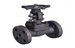 Globe Valve, For Steam