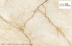 Somany Segesta Gold, Usage Area: Hall, Size: 60 * 60 In Cm