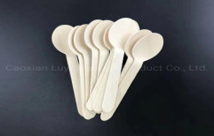 Disposable Birch Wood Spoon