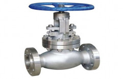 Hydraulic And Manual Stainless Steel Globe Valve
