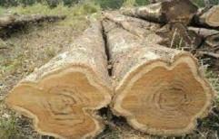 Round Kerala Teak Wood, For Furniture