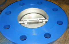 600 Cast Iron Dual Plate Wafer Check Valve, For Industrial, Size: 10 Inch