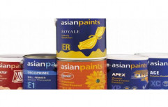 Asian Paints Royale Healthshield