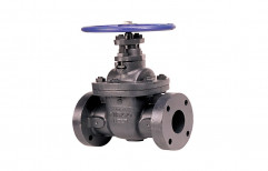 Cast Iron And Stainless Steel Gate Valves, End Connection: Flanged