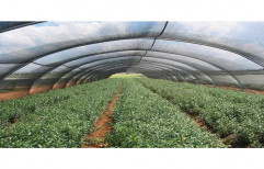 HDPE Plastic Prefab Agro Shade Net, for Green House
