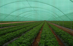 Nylon Agro Shade Nets, Shape: Crop Support Net