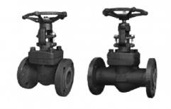 SS Flanged End Gate Valve