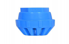 Blue Pvc Plastic Foot Valves, Size: up to 1 inch