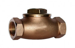 Low Pressure Brass Non Return Valve for Water