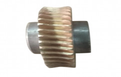 Mild Steel Spur Worm Wheel Gear
