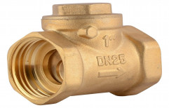 Brass Non Return Valve, Stainless Steel, Valve Size: 0.5 inch