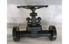 Forged Steel Globe Valve, For Water, Valve Size: 2 inch