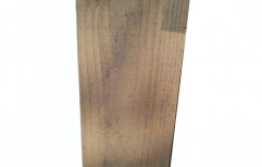 Rectangular 12 Feet Brown Eucalyptus Sawn Timber Wood, Thickness: 5mm
