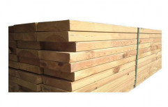 Sawn Wood Timber
