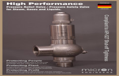 Angle Type & Open Type Closed Bonnet Safety Relief Valves, Size: 1/2