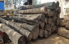 Black Sheesham Wood Timber, Round, Thickness: 1.4ft