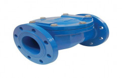 Cast Iron Non Return Valve, Size: 15 - 1900mm