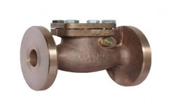 Cast Iron Non Return Valve, Size: 25 - 1200 MM