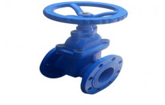 Cast Iron Steam Globe Valve, For Industrial