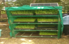 FRP Rectangular Hydroponic Fodder System, Capacity: 50 KG /Day