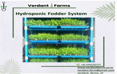 Hydroponic Fodder System