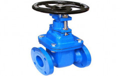 Cast Iron Gate Valve, Size: 3 and 4 Inch