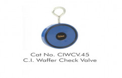 Orient Cast Iron Wafer Check Valve, Packaging Type: Box