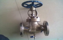 Pneumatic Globe Valve