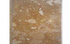 Polished Marble Tiles, Thickness: 20 Mm, Tile