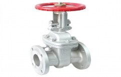 Stainless Steel (SS) Flange End Gate Valve, Valve Size: 2.5 inch