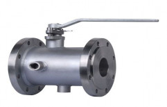 Steam Jacketed Valves