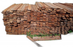 Timber Safeda Satring Wood