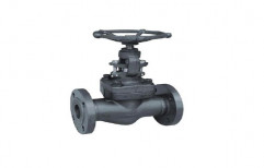 Forged Steel Globe Valves, For Industrial, Size: 15 Mm