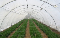 Green Surat Hdpe Anti Insect Net, For Agriculture, Size: Roll Width 1.5 Mtr To 5.00 Mtr