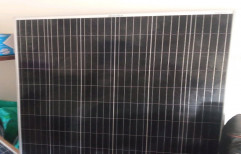 Polycrystalline Adani Solar Panels, 24V