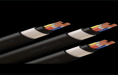 Polycab Number Of Cores: 3 Core Copper Armoured Power Cable