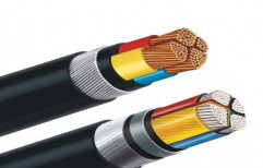 2.5 Sq Mm 2 Core Armoured Cables